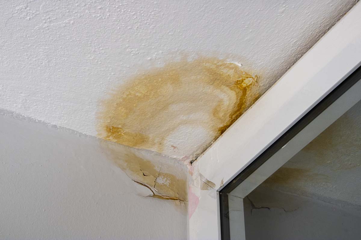 Leak Detection & Repairs